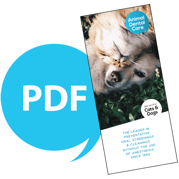 Animal Dental Care's informational brochure