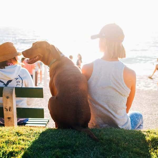 Girl and retriever dog at the beach